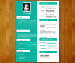 One Pager Resume Template for PowerPoint