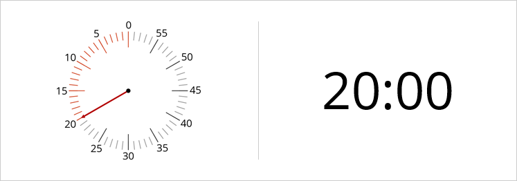 Digital or Analogue Timer