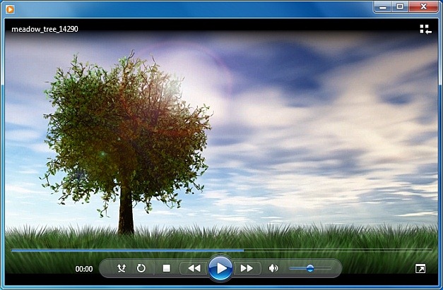 Meadow tree video animation