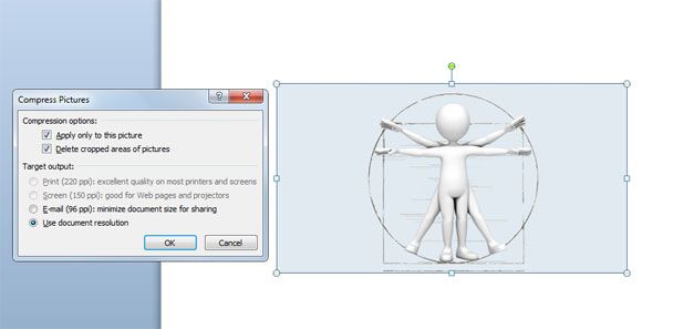 3D vitruvian compress picture