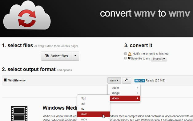 convert WMV to MKV