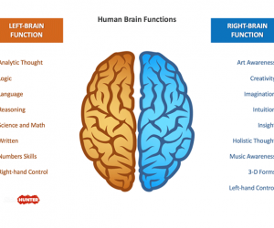 Free Brain PowerPoint Template with Left & Right Sides