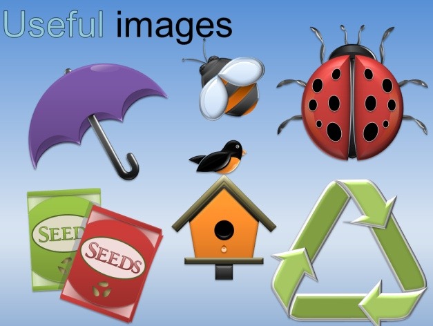 spring clipart images